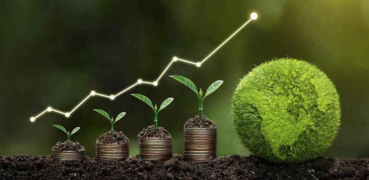 QT06 QUY TRÌNH THẨM ĐỊNH, THẨM TRA KHÍ NHÀ KÍNH